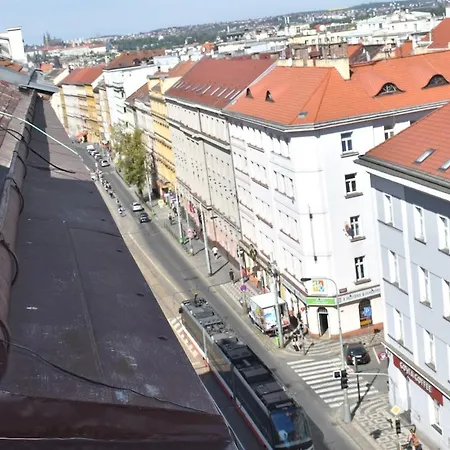 Amazing In Center For Great Price Apartament