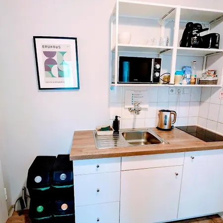 Flat In Zizkov -401- Praag