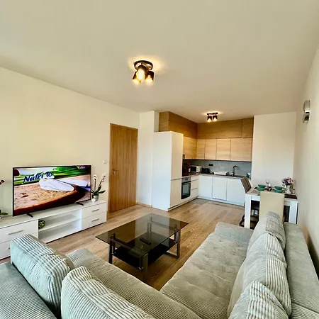 Tomas Apartment,free Parking-02 Arena * Prague