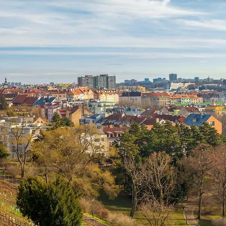 Sunny Luxury Grebovka