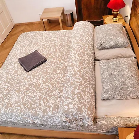 Old Town & Parking Assistance Homestay Prague