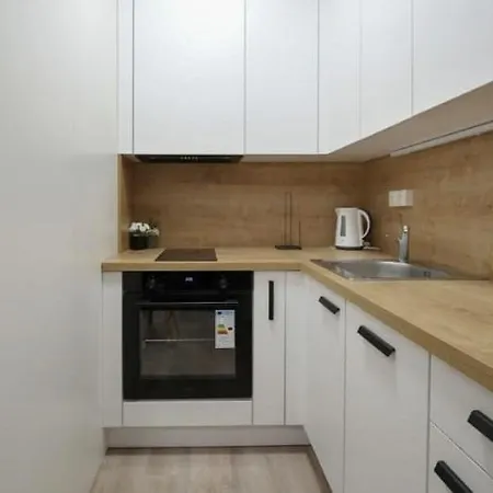 Modern Flat With Rooftop Terrace Prague