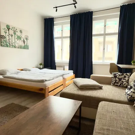 Apartment Plavecka