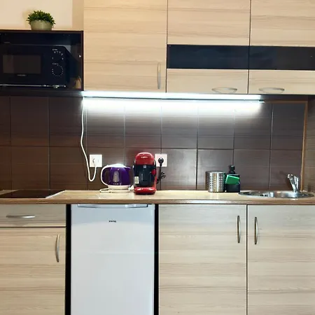 Plavecka Apartment *