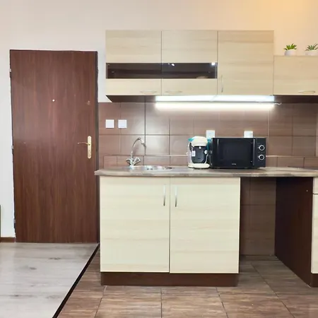 Plavecka Apartment Prague