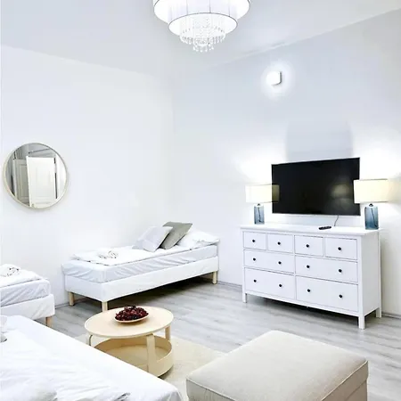 Centrum 1 95m2 Apartment Prague