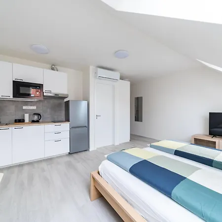 Borivojova 63 Apartament