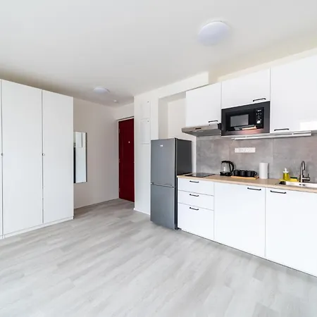Apartament Borivojova 63 *