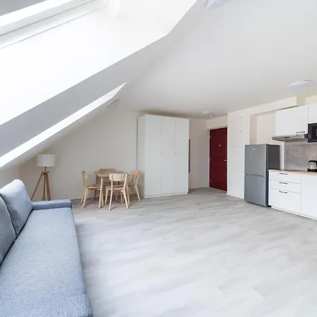 Borivojova 63 Apartament Praga