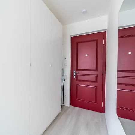 Apartament Borivojova 63 *