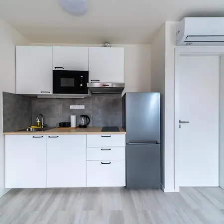 Apartament Borivojova 63