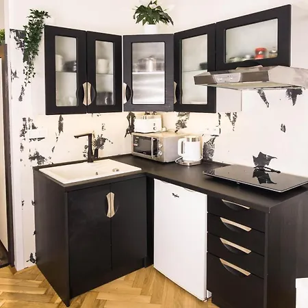 Black & White Apartment Prague By Wenceslas Square And Muzeum Apartment Prague