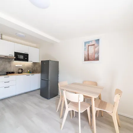 Apartament Borivojova 63