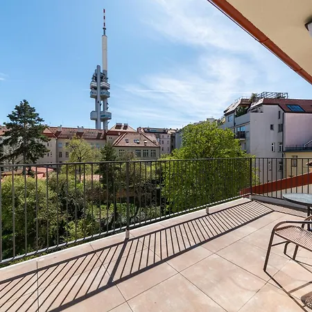 Apartament Borivojova 63