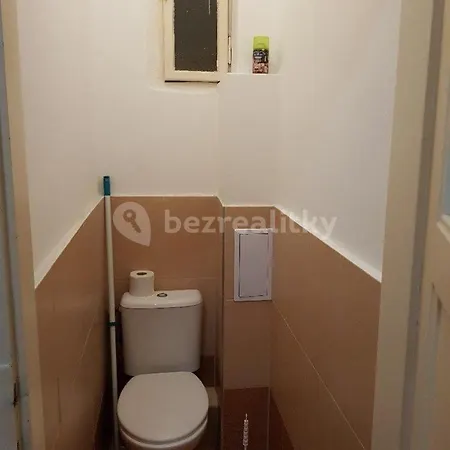 Zizkov Apartment Prague