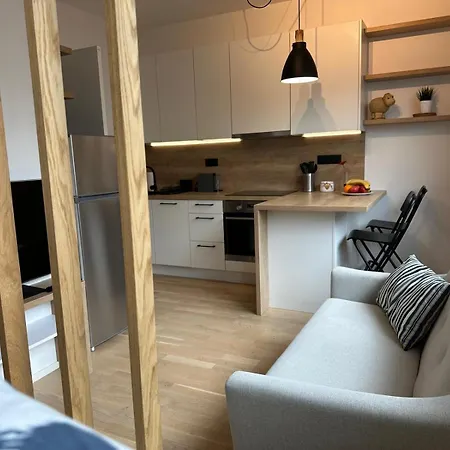 Apartment Vinice *