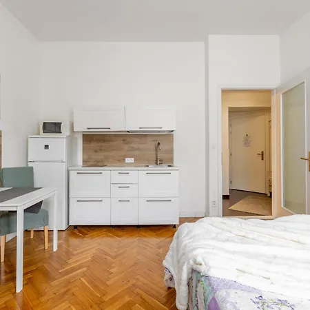 Appartement -studio Praag