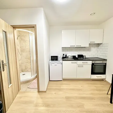 2br Spacious Basement Near Center Apartment *