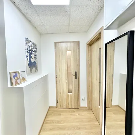 Apartment 2br Spacious Basement Near Center