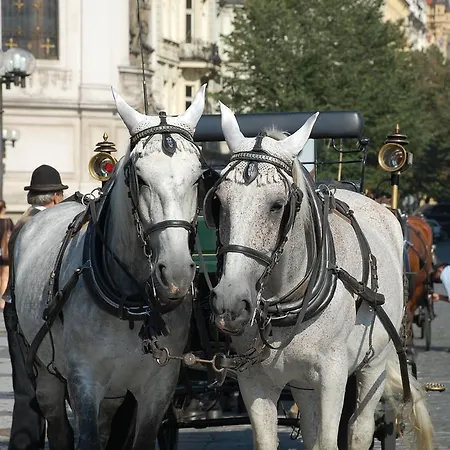 Chodov *