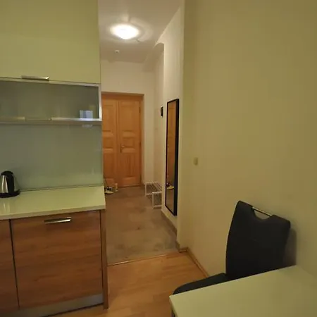 Apartment Husitska