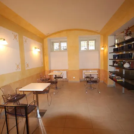 Halkova Studio *