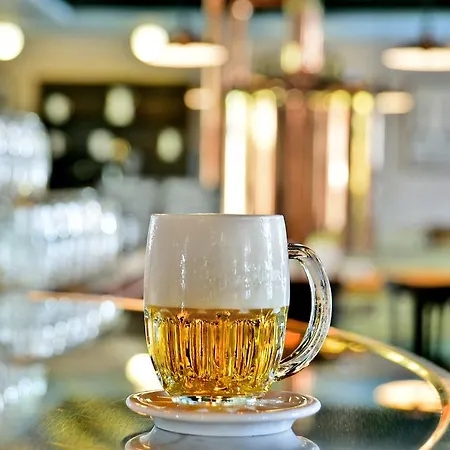 Restaurant Darwin Szálloda 4*