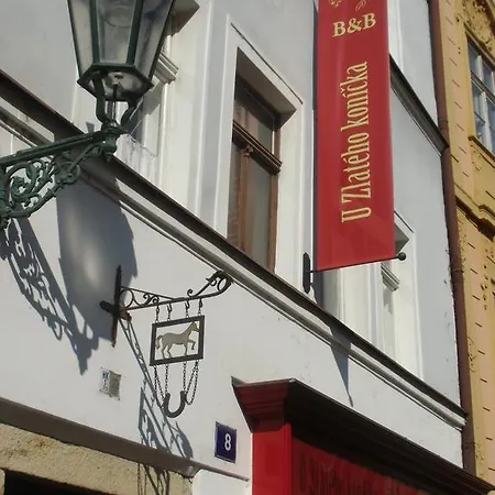 U Zlateho Konicka / The Golden Horse House Bed & Breakfast Prague
