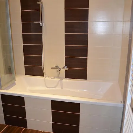 Comfortable Vlkova Apartament