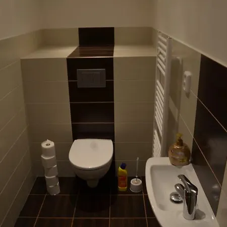 Apartament Comfortable Vlkova *