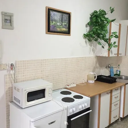 Apartment Tesla