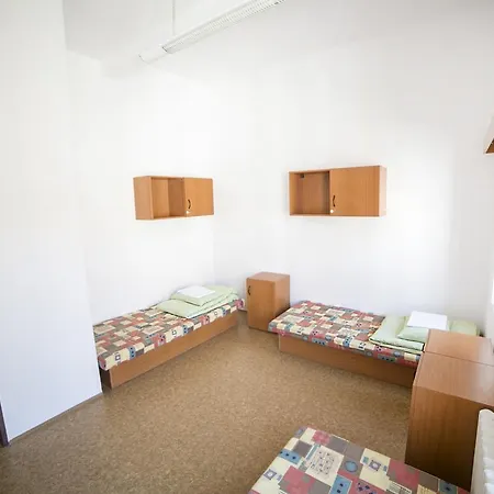 Dizzy Daisy Hostel *