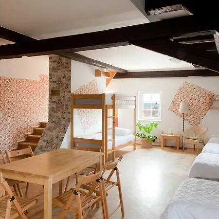Hostel Arpacay Backpackers *