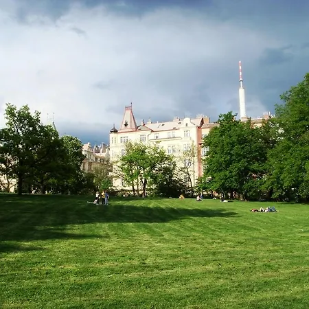 Modern Riegrovy Sady Apartment
