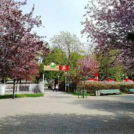 Modern Riegrovy Sady *