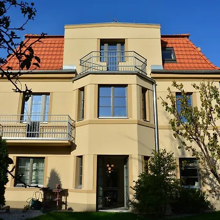 Krocinka * Praag