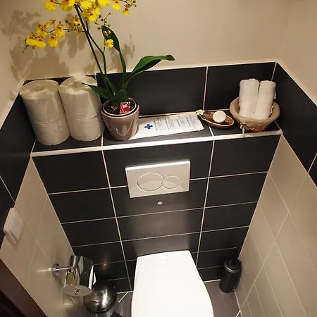 Andel Tomaskova Apartment *