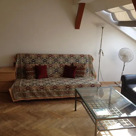 Apartment Penthouse In Vinohrady Prague