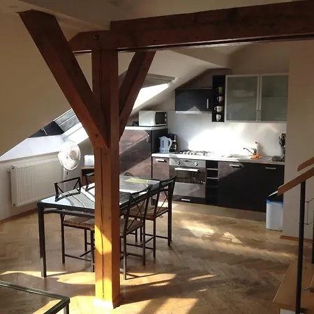 Apartment Penthouse In Vinohrady *