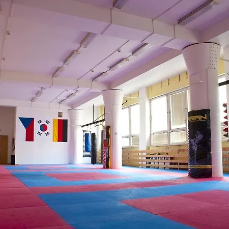 Martial Arts Sleepover Gym *