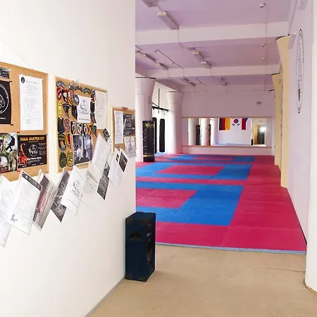 Martial Arts Sleepover Gym