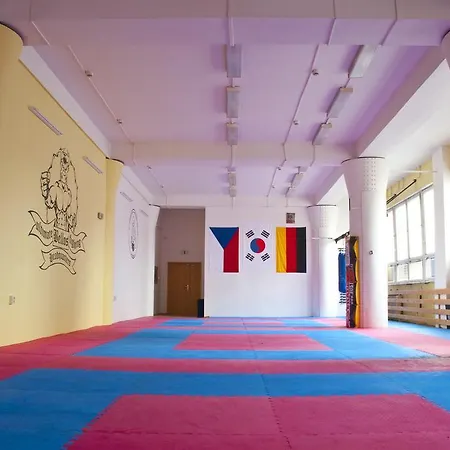 Martial Arts Sleepover Gym Hostel *