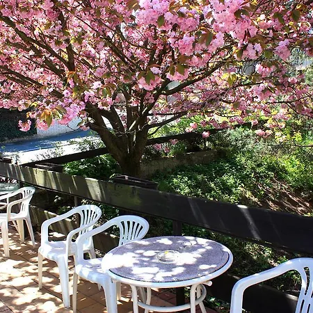 Discounts Prague Hotel Hotel Prague