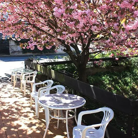 Hotel Discounts Prague Hotel Prague