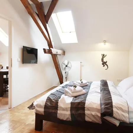 Apartment Attic Hastalska