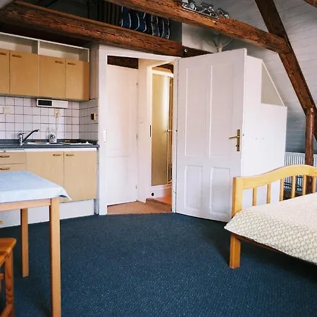 Bed & Breakfast U Zlateho Konicka / The Golden Horse House