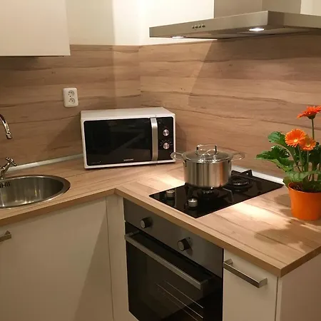 Apartment Anastasia Prague