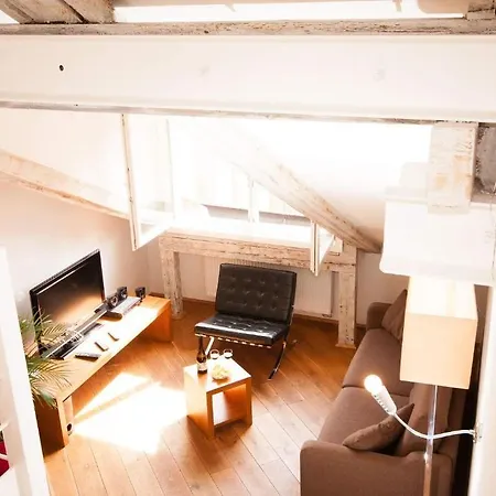 Kozna Loft Apartment