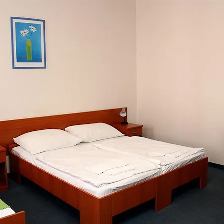 Hotel Agricola Praga