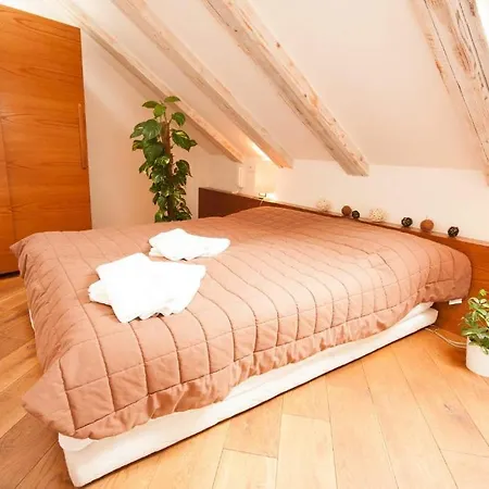 Apartment Kozna Loft *